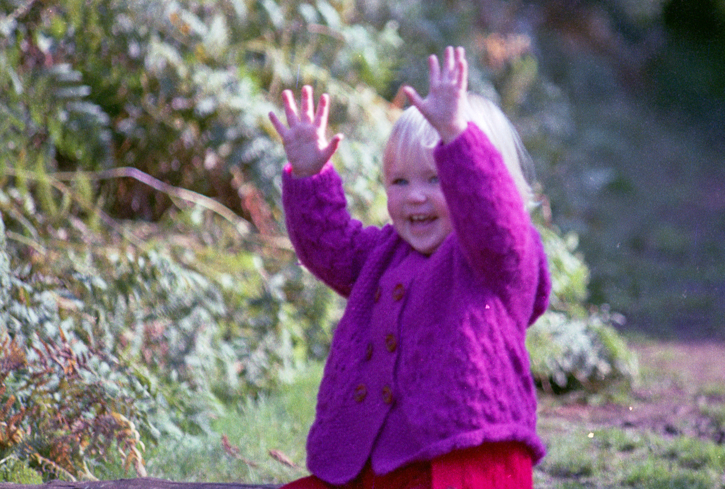 slideshow image