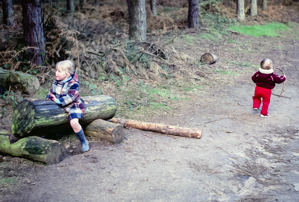 slideshow image