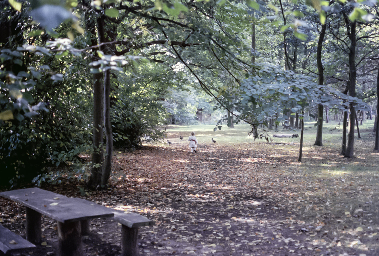slideshow image