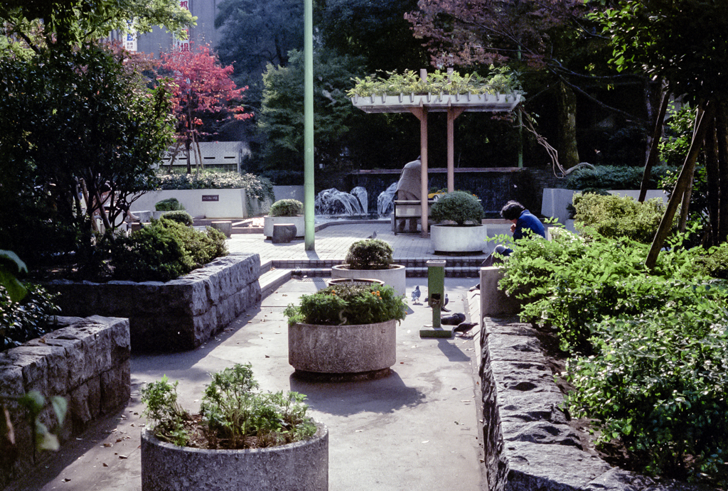 slideshow image