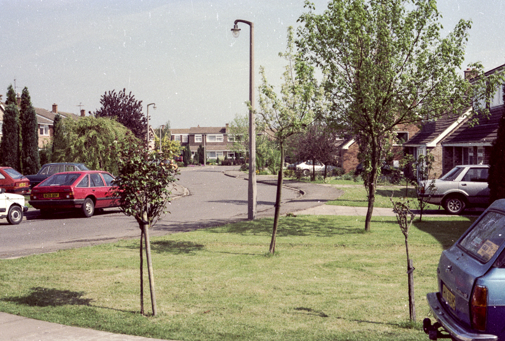 slideshow image