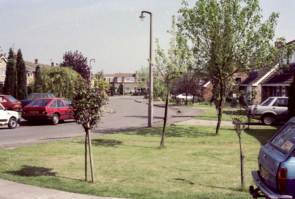 slideshow image