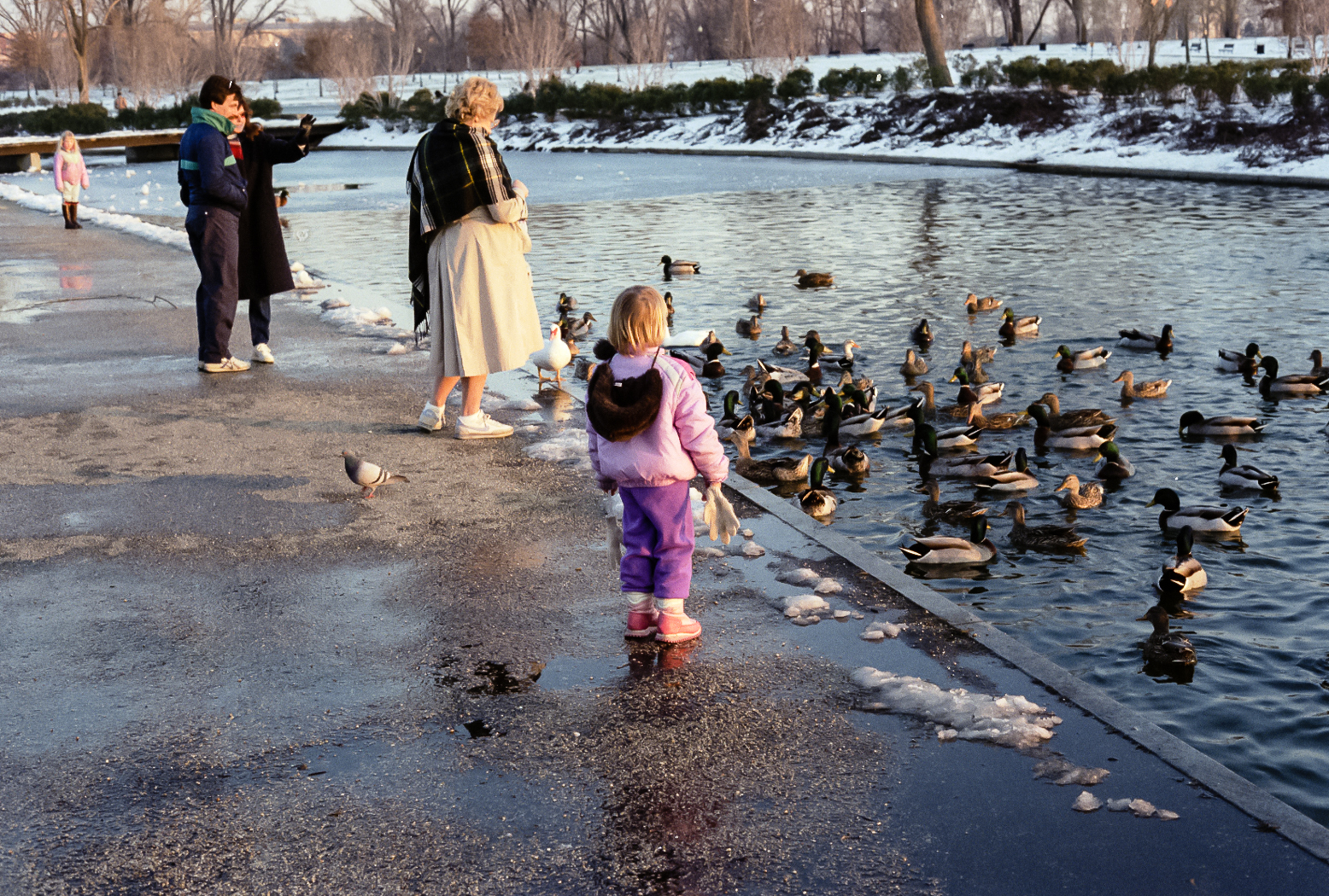 slideshow image