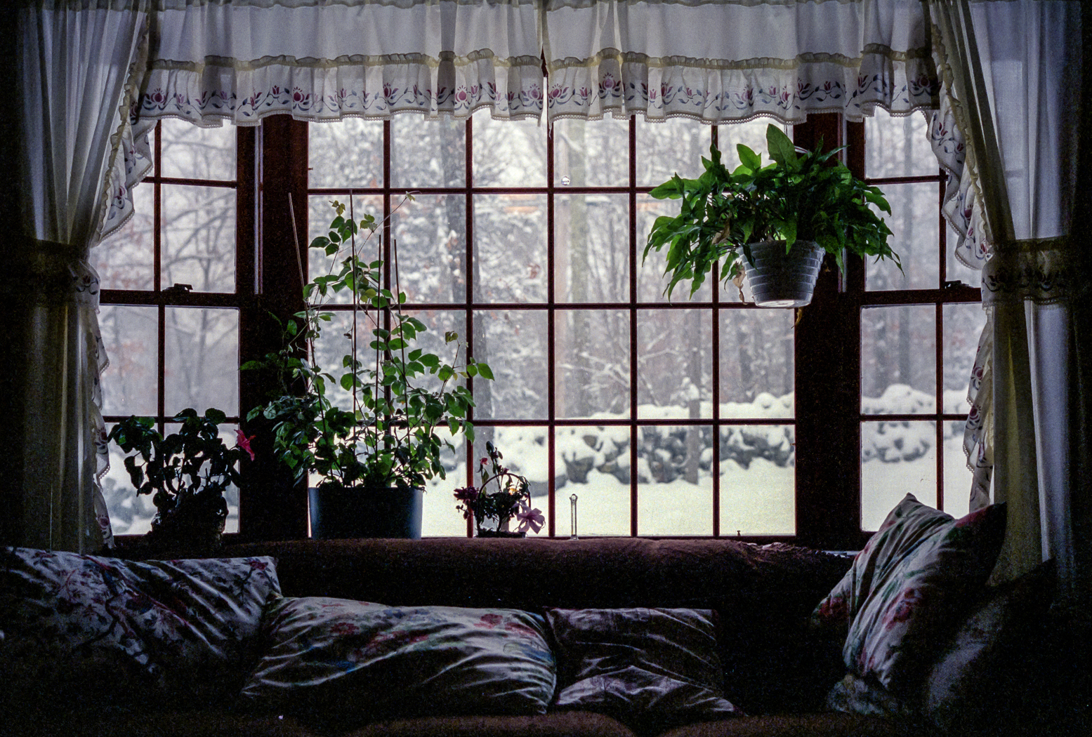slideshow image