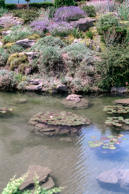 slideshow image