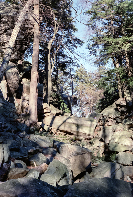 slideshow image