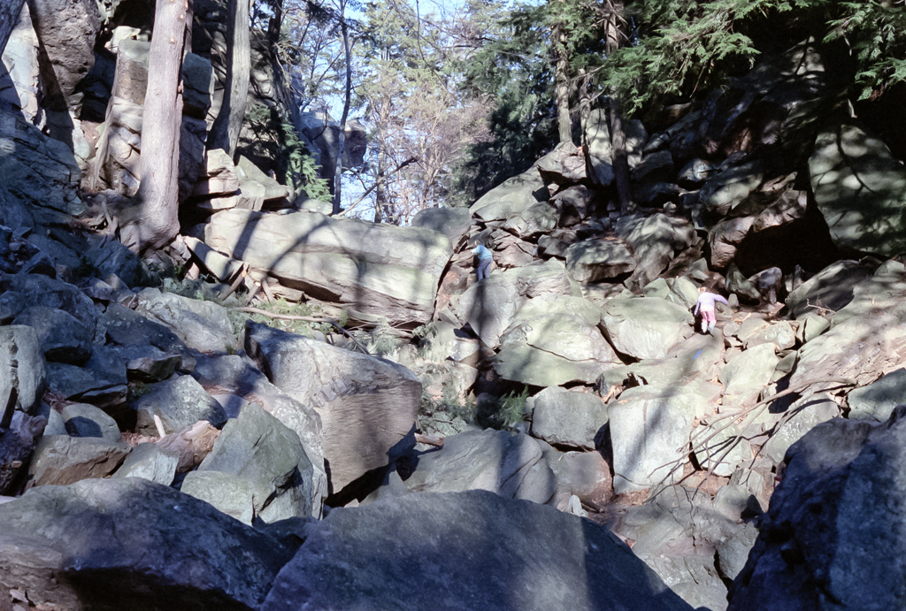 slideshow image