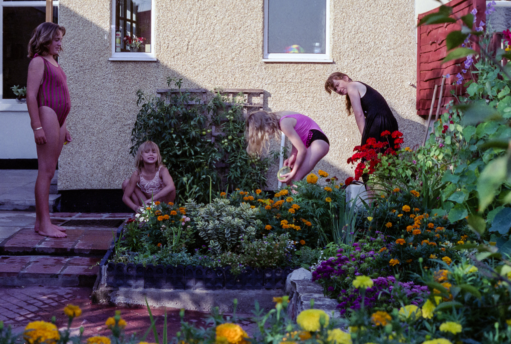 slideshow image