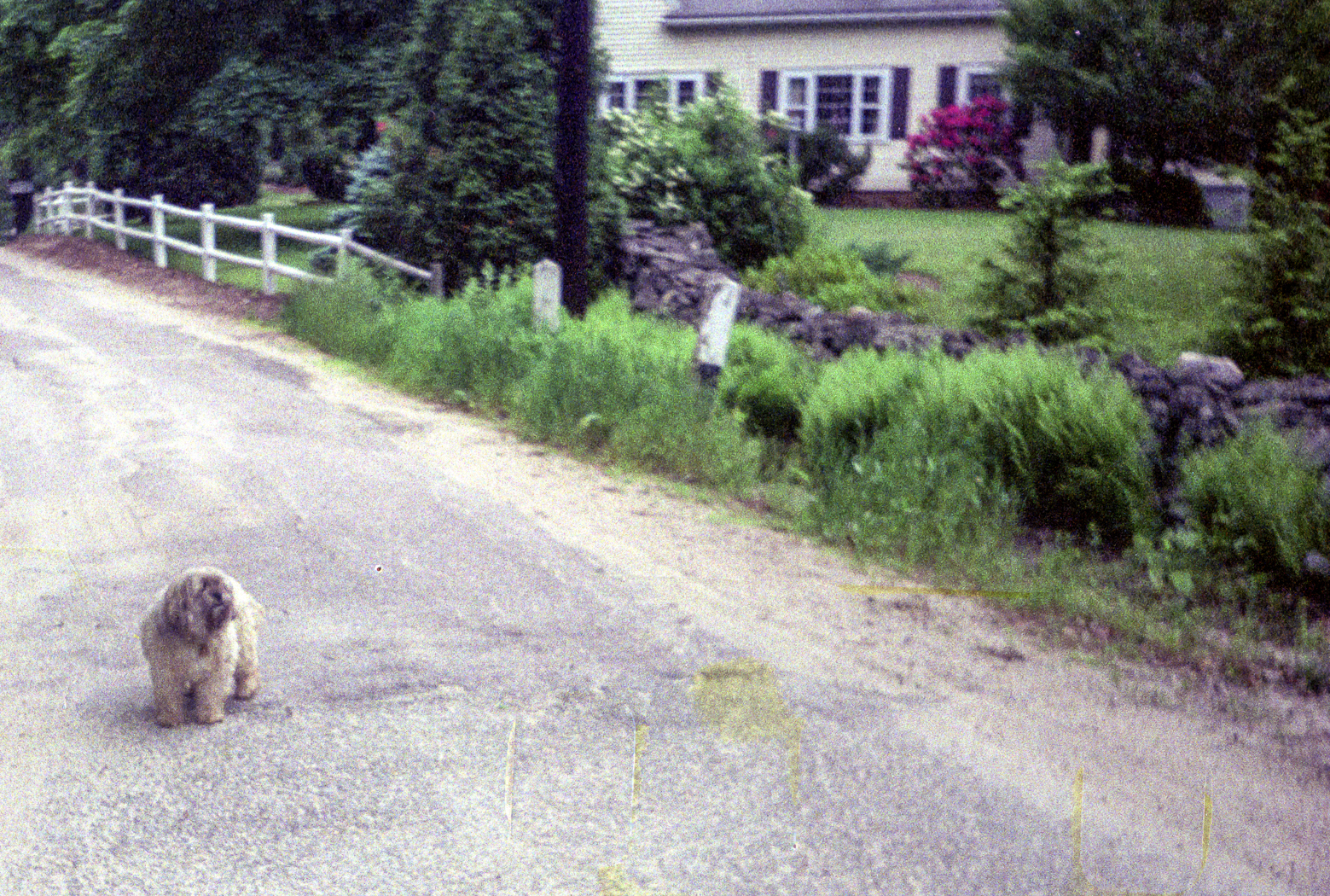 slideshow image