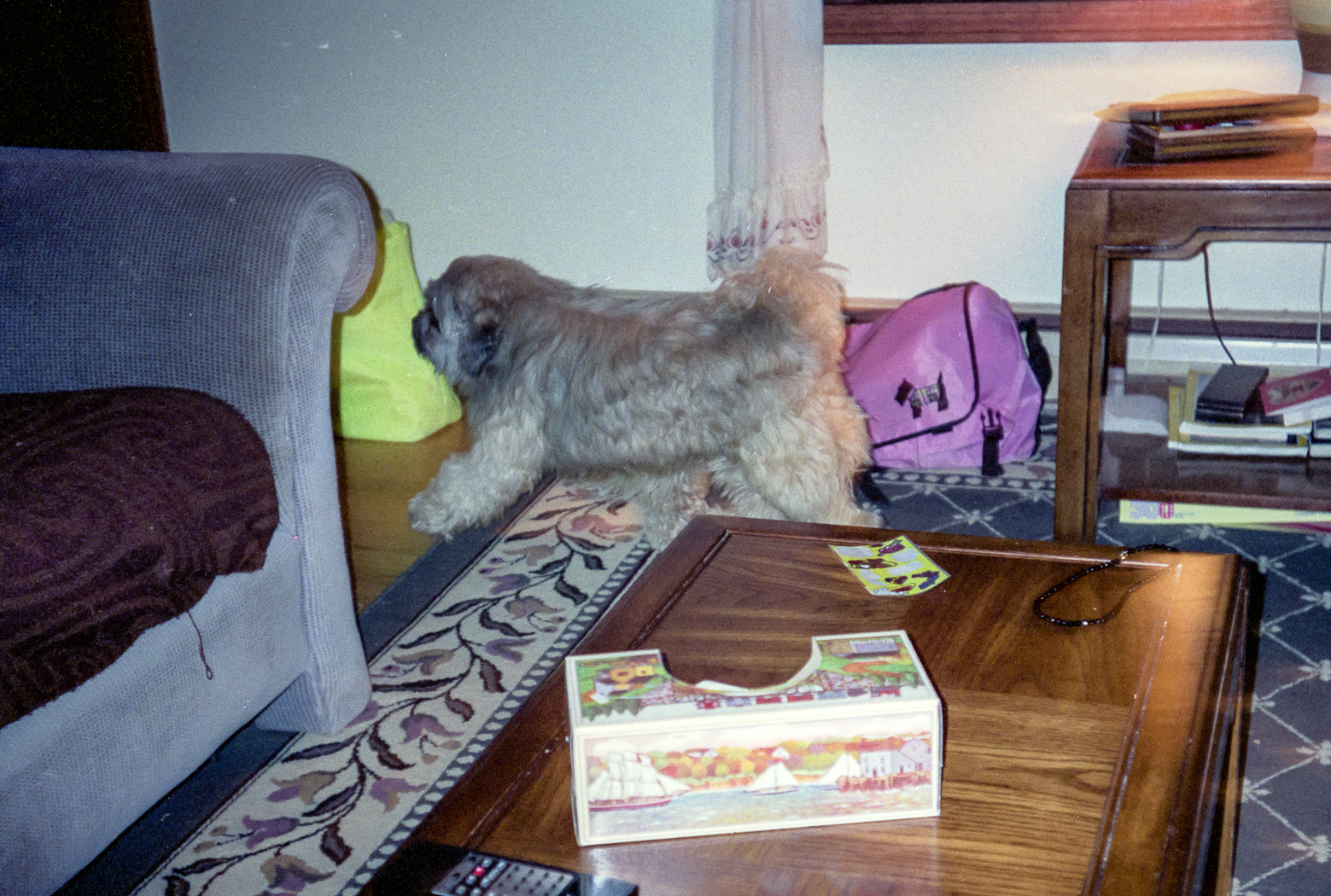 slideshow image