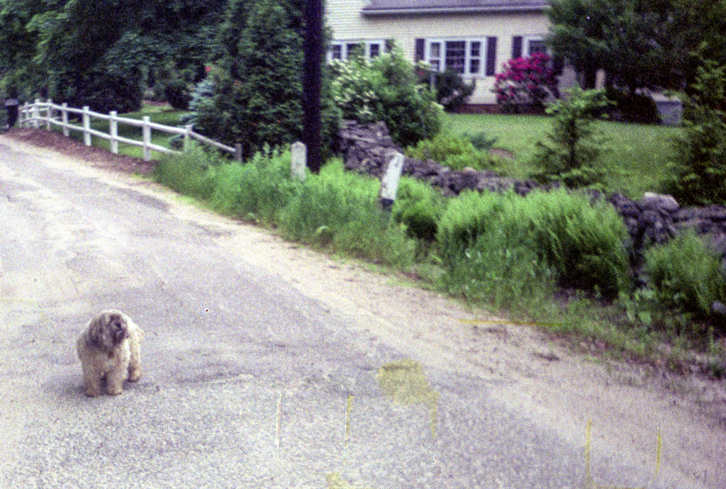 slideshow image