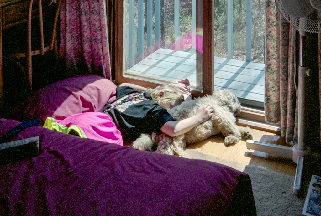 slideshow image