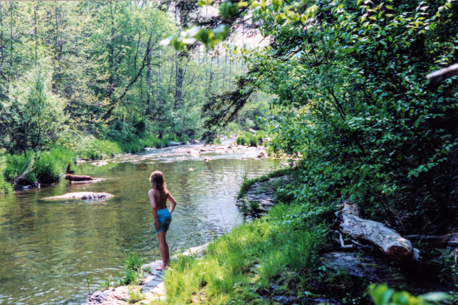 slideshow image