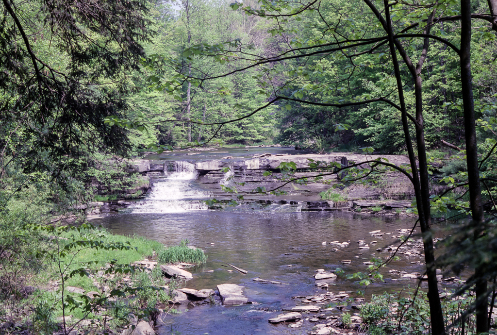 slideshow image