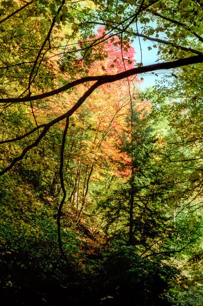 slideshow image