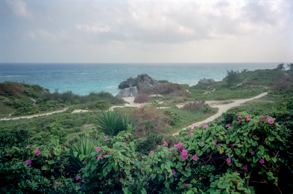 slideshow image