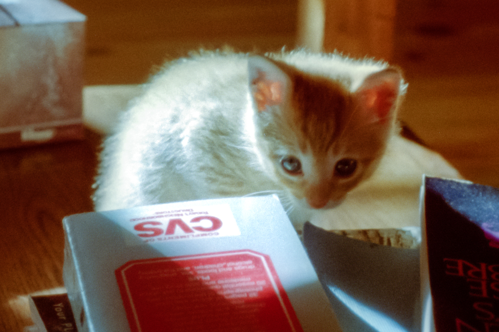 slideshow image