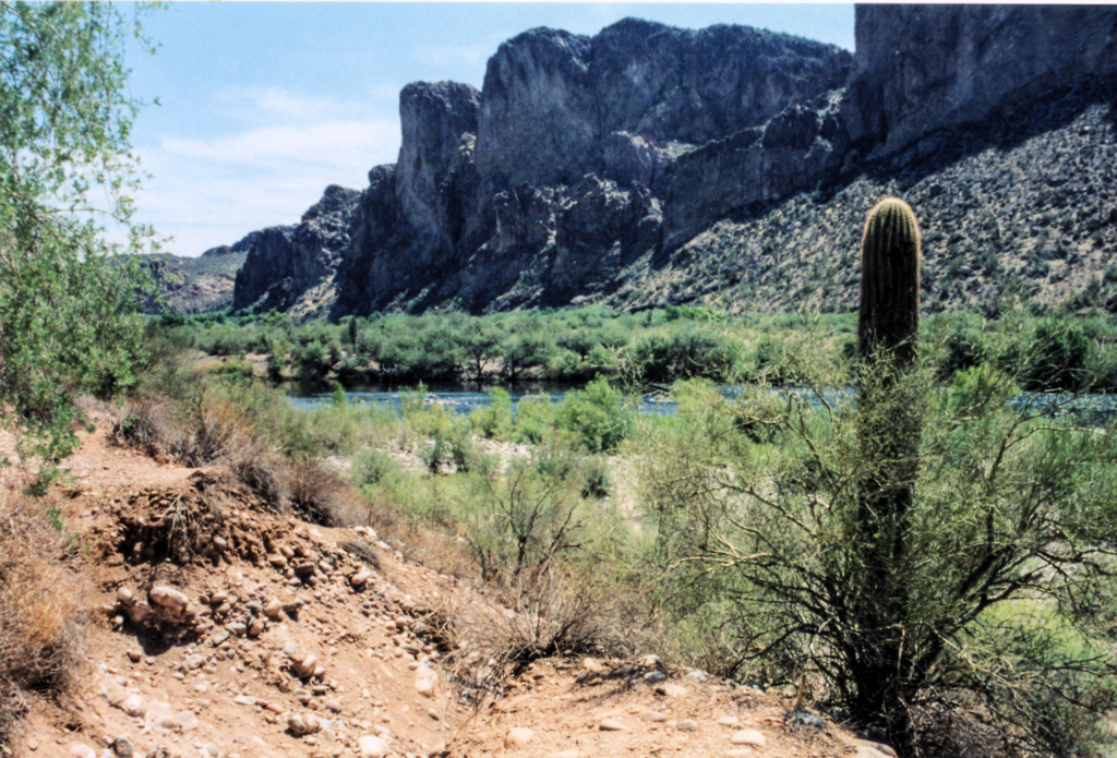 slideshow image