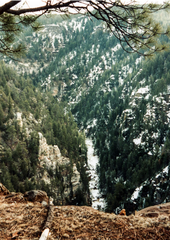 slideshow image