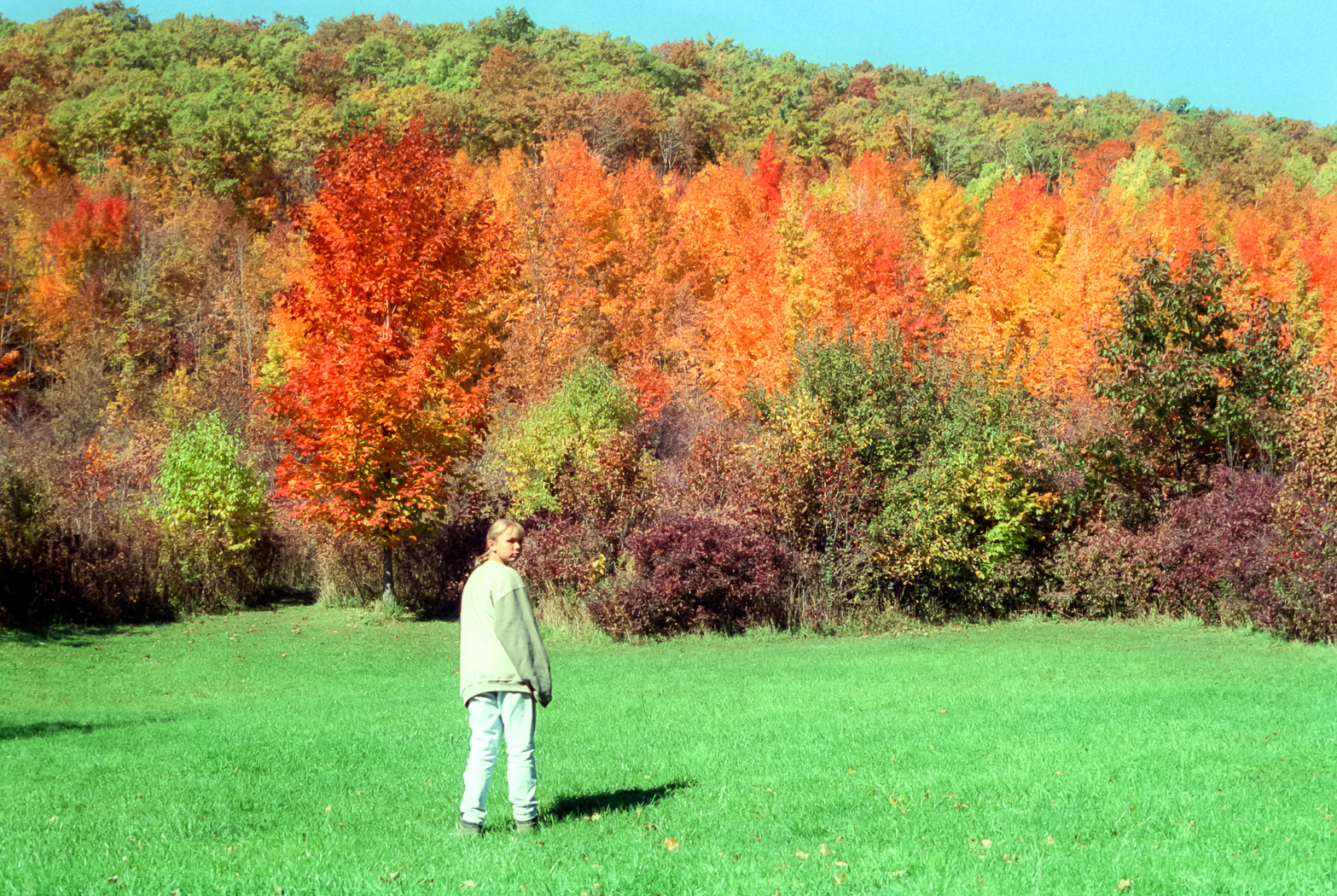 slideshow image