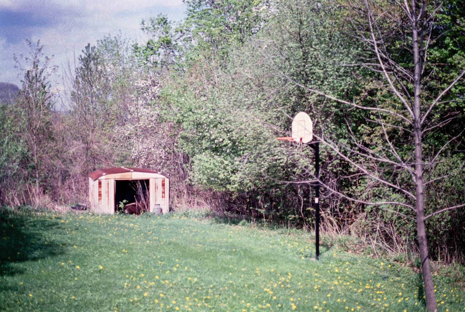 slideshow image