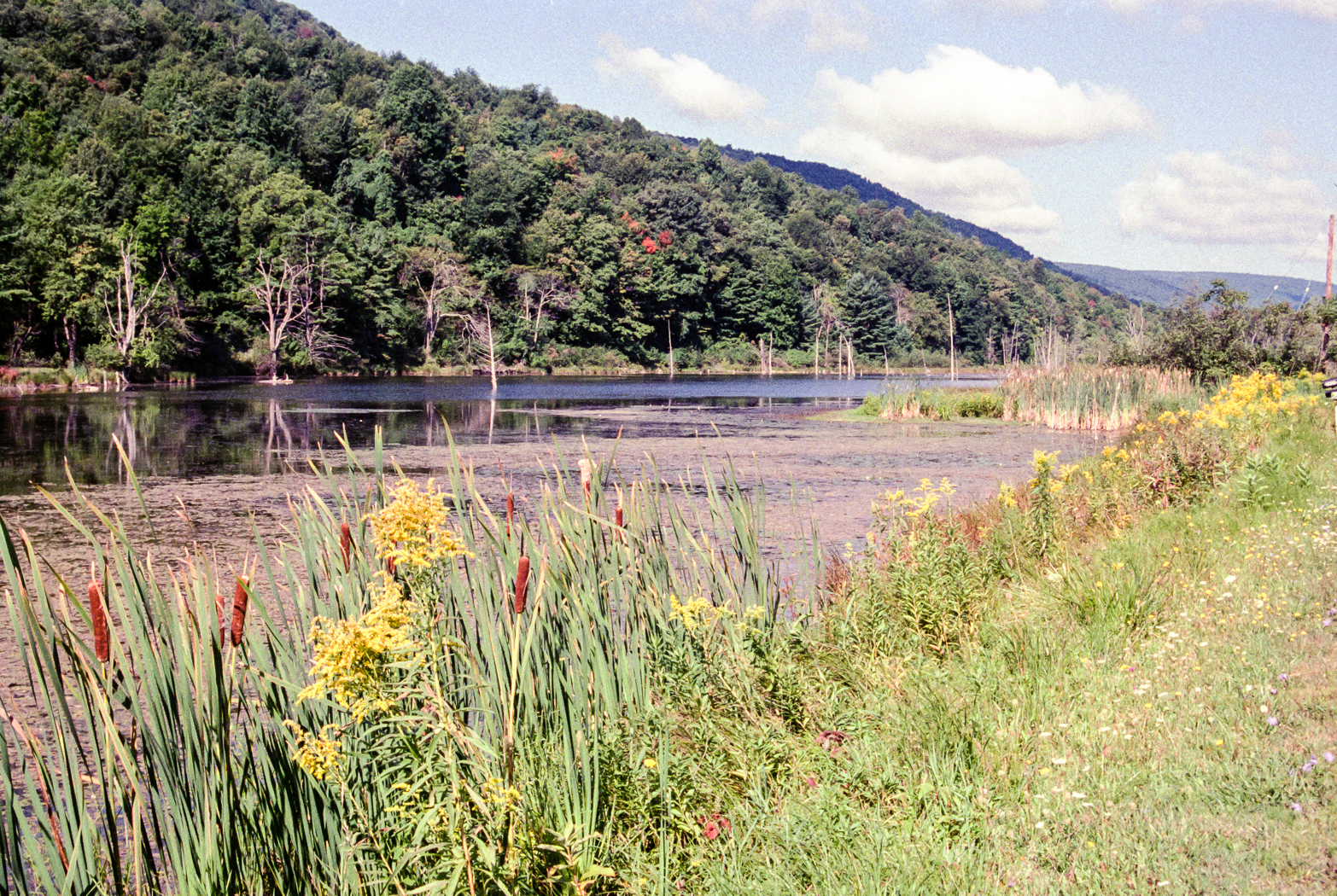 slideshow image