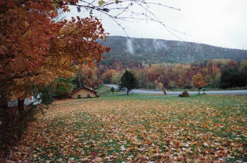 slideshow image