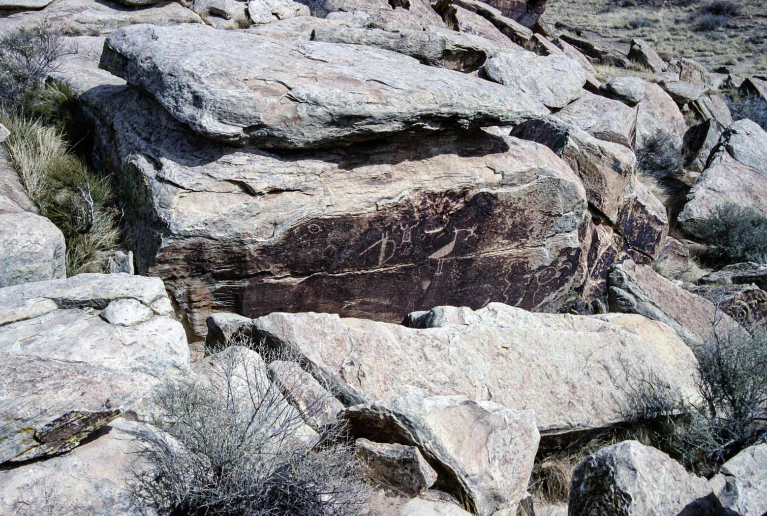 slideshow image