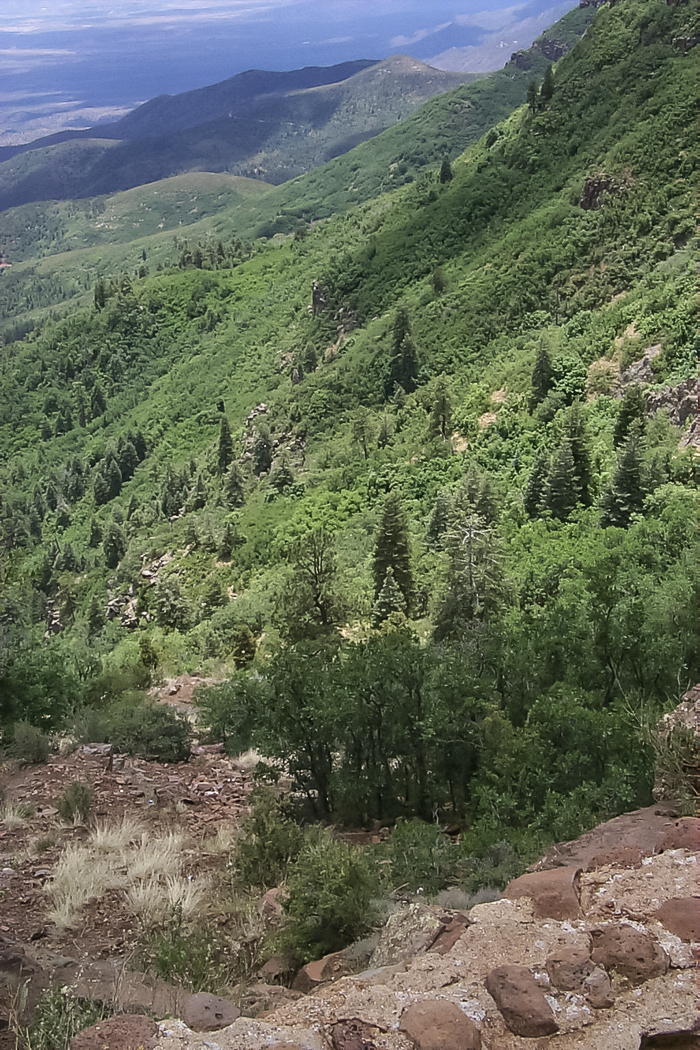slideshow image
