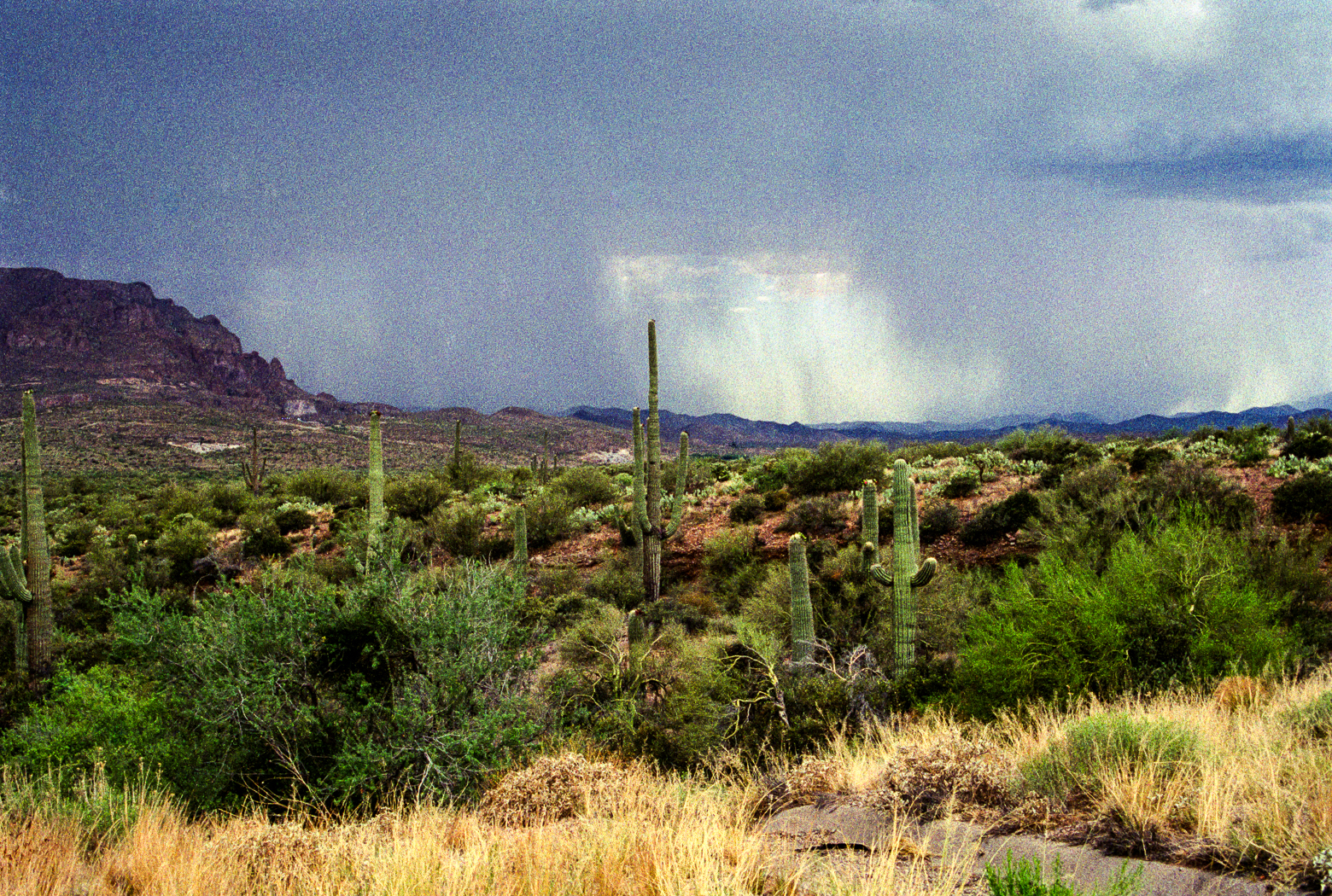 slideshow image