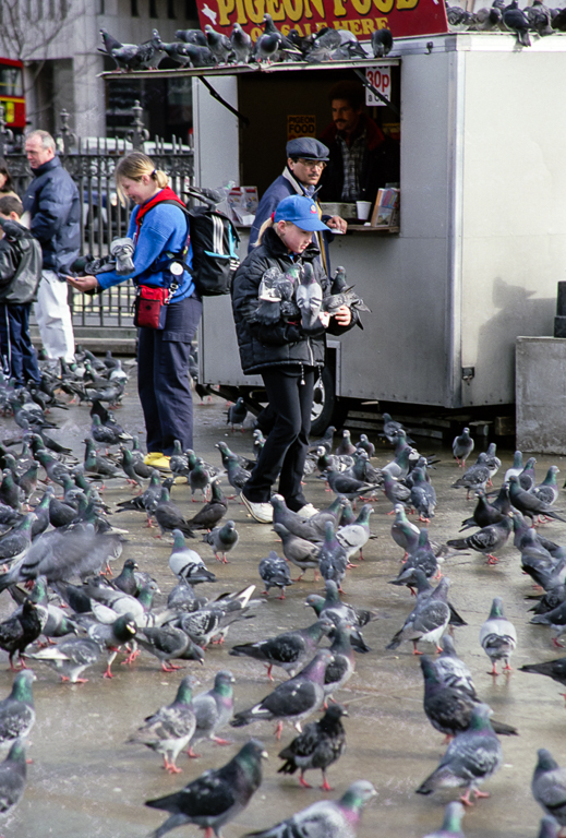 slideshow image