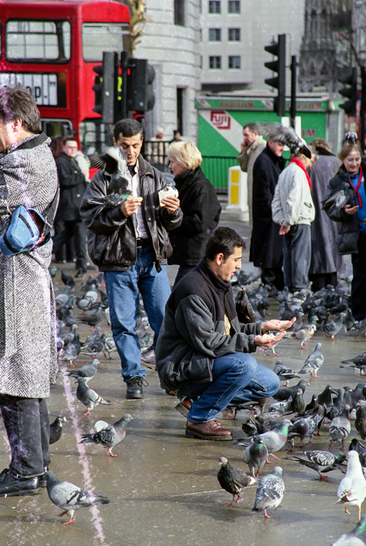 slideshow image