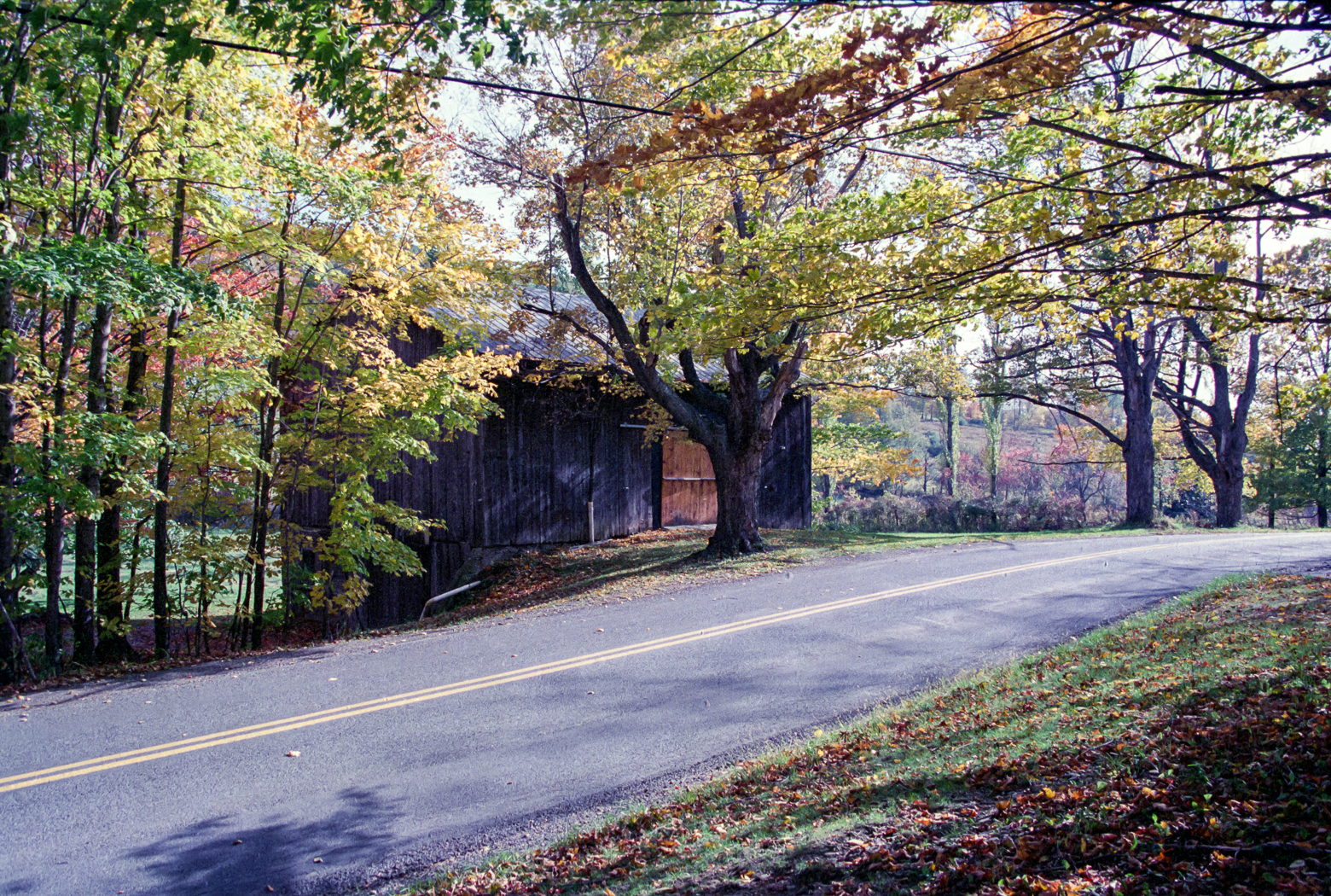 slideshow image