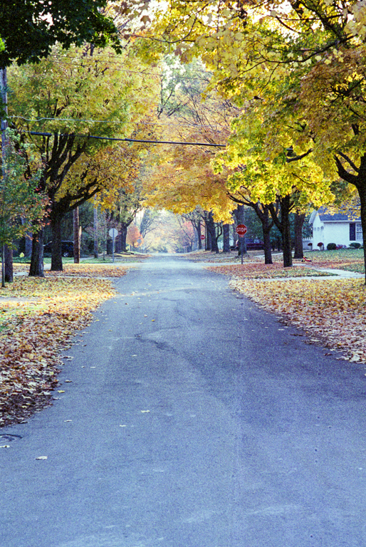 slideshow image