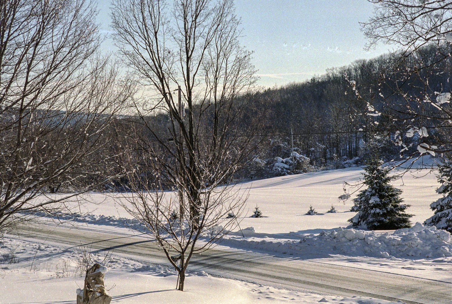 slideshow image