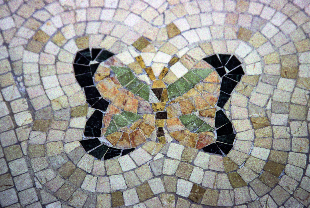 slideshow image