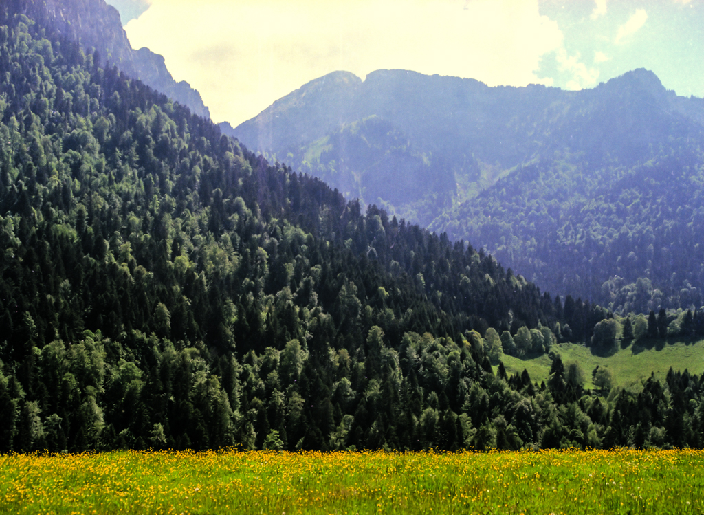 slideshow image