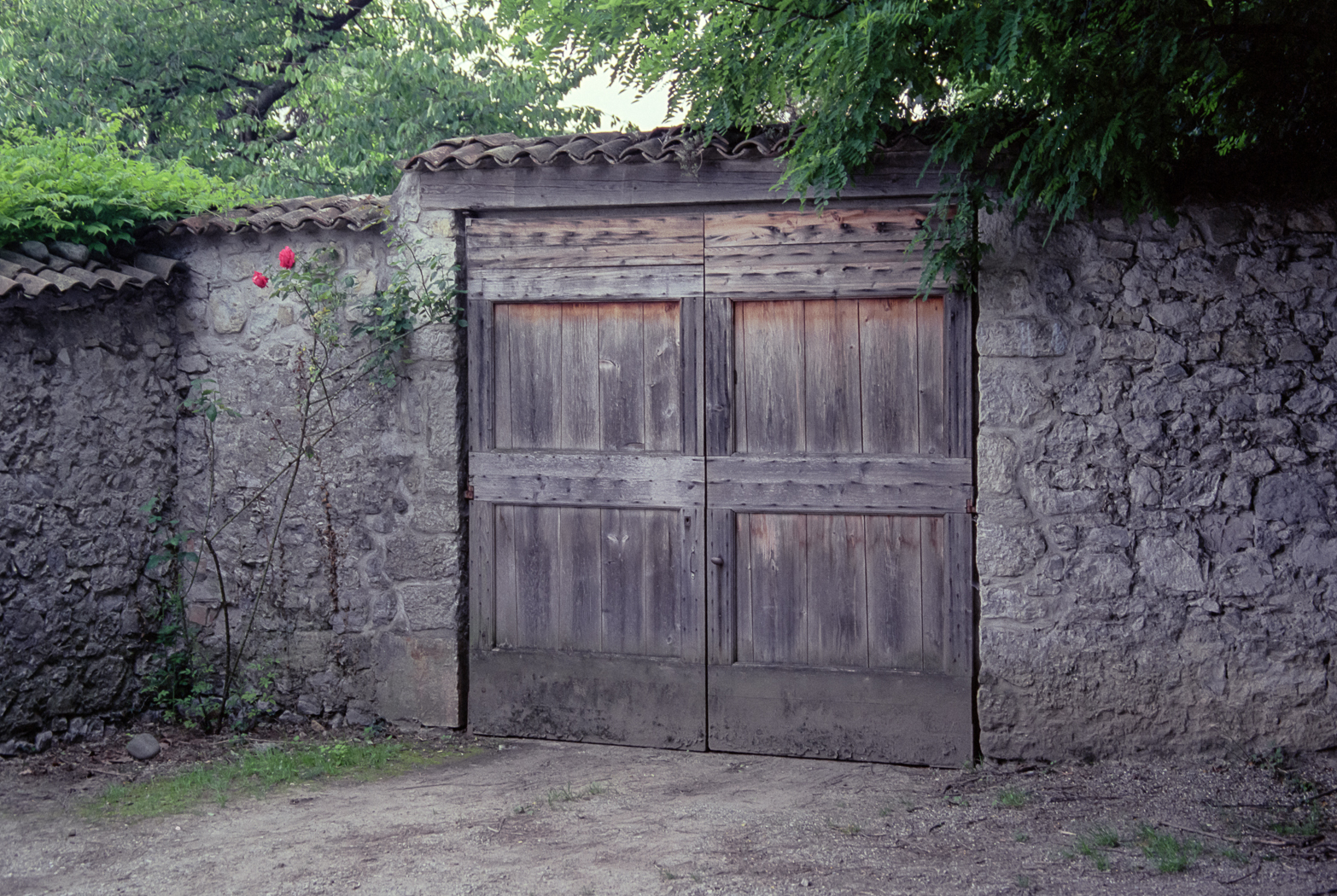 slideshow image