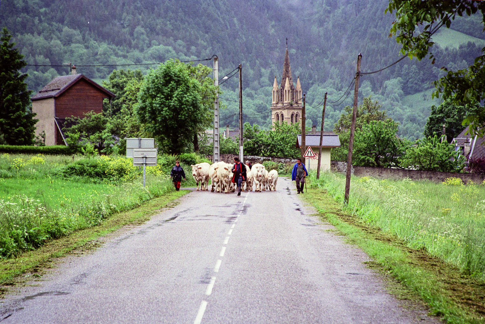 slideshow image