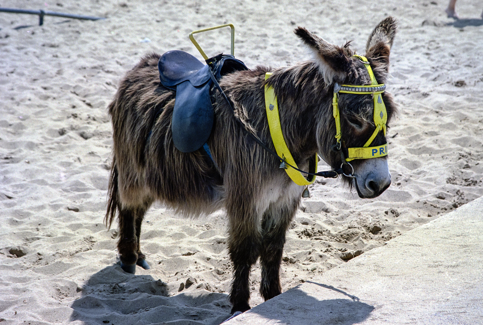 slideshow image