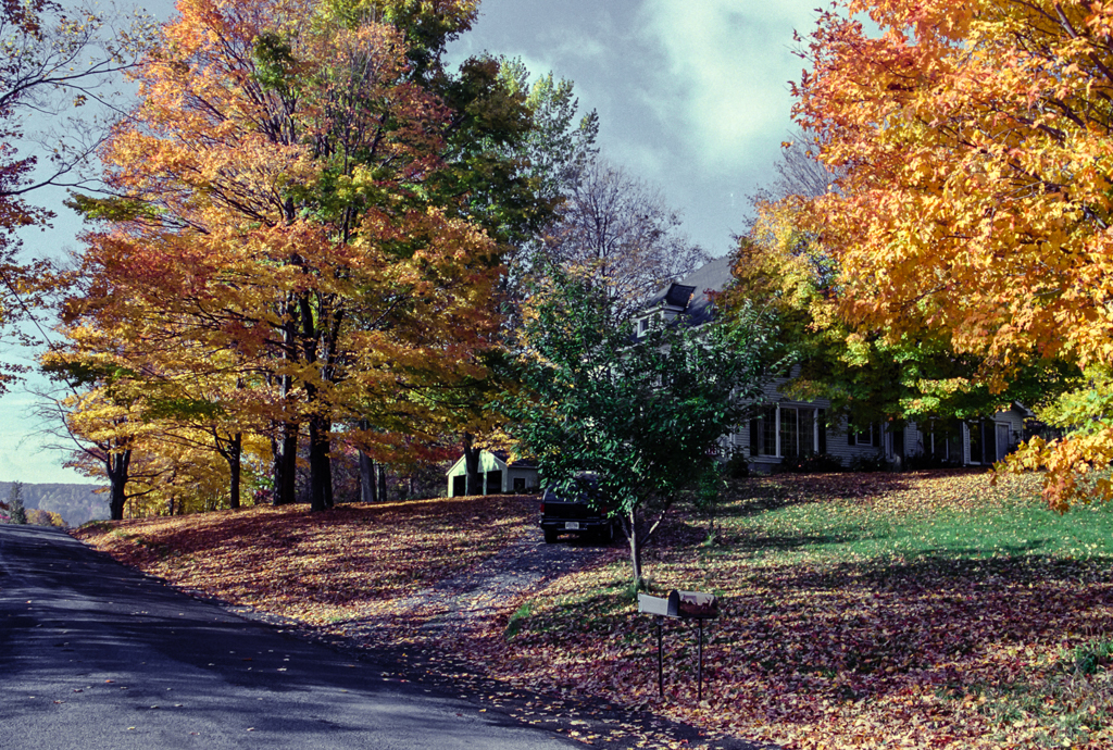 slideshow image