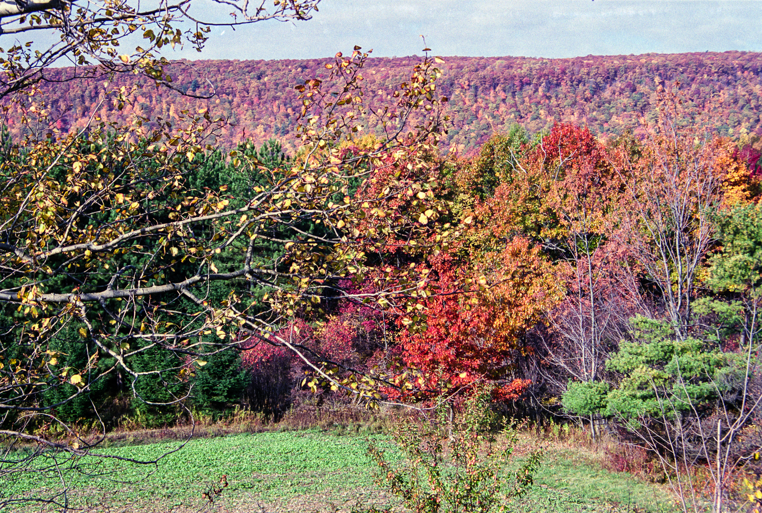 slideshow image