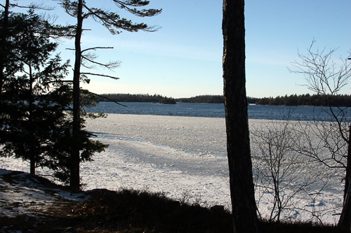 slideshow image
