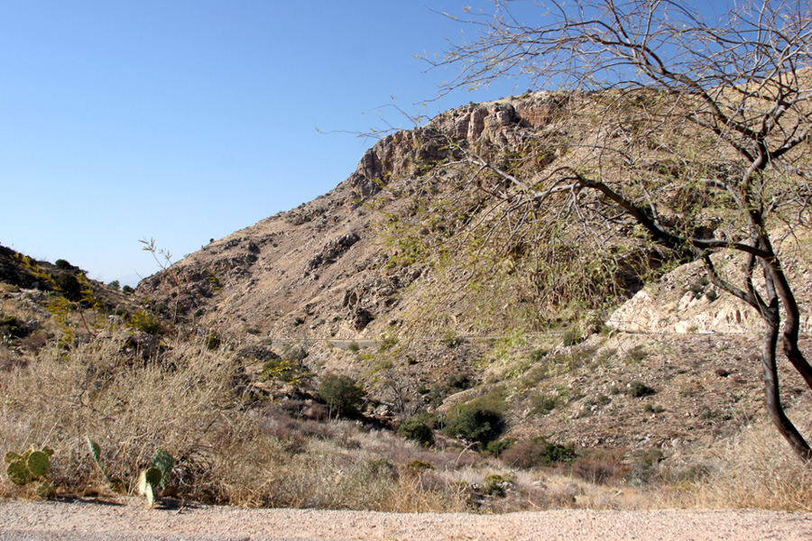 slideshow image