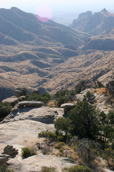 slideshow image