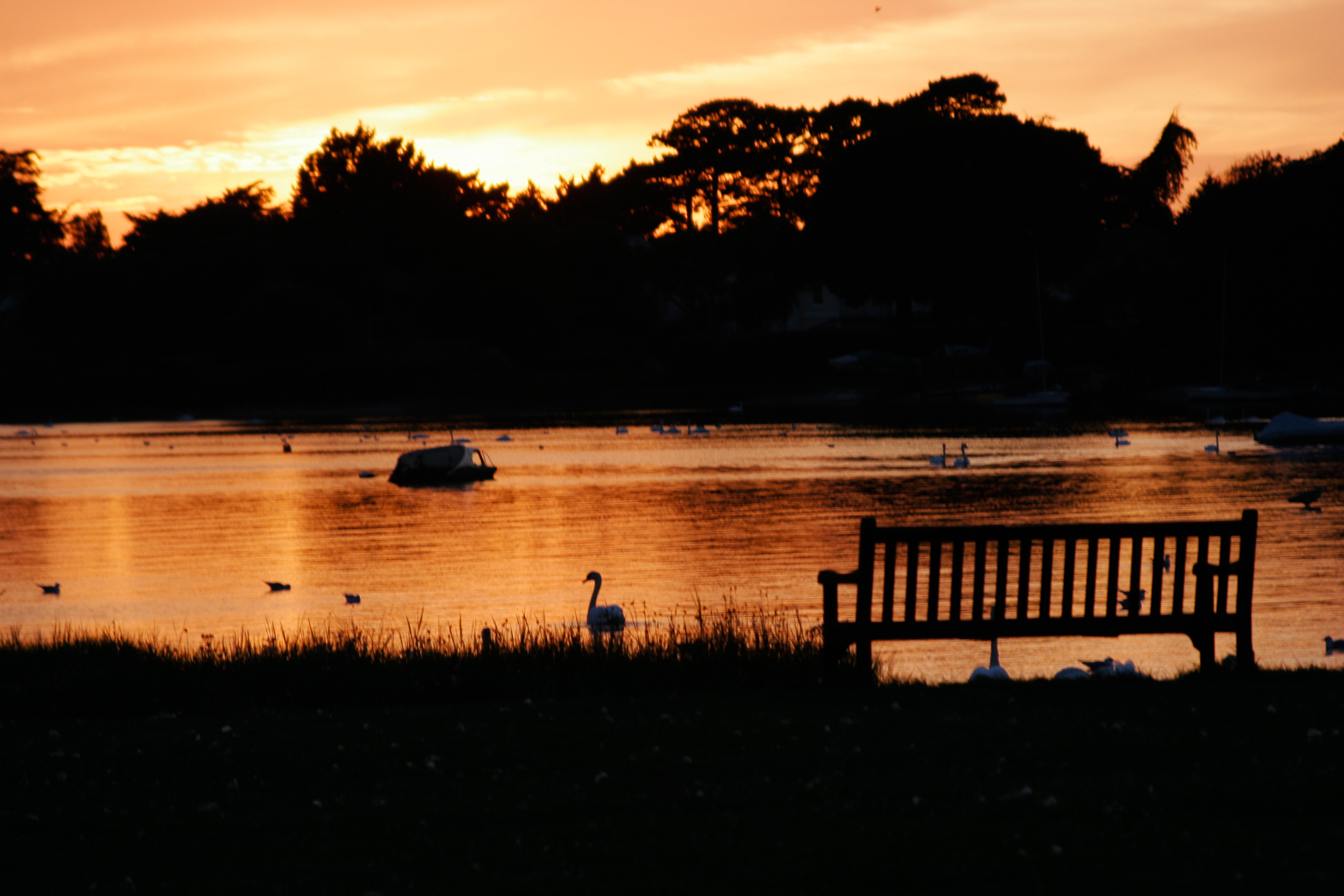 slideshow image