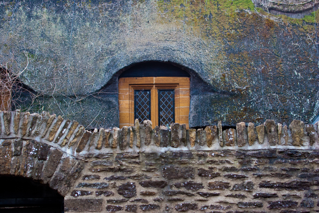 slideshow image