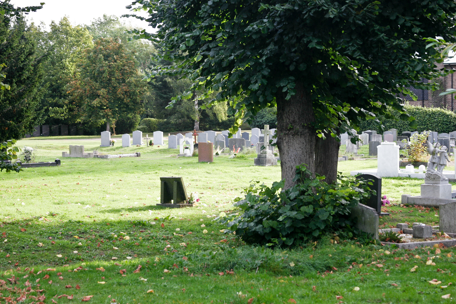 slideshow image