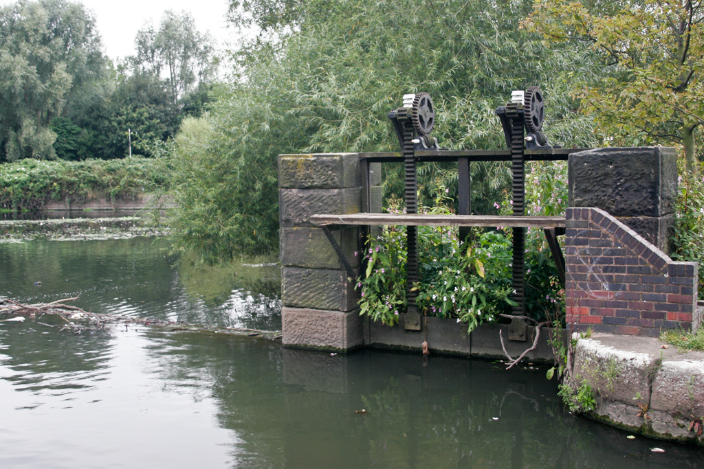 slideshow image