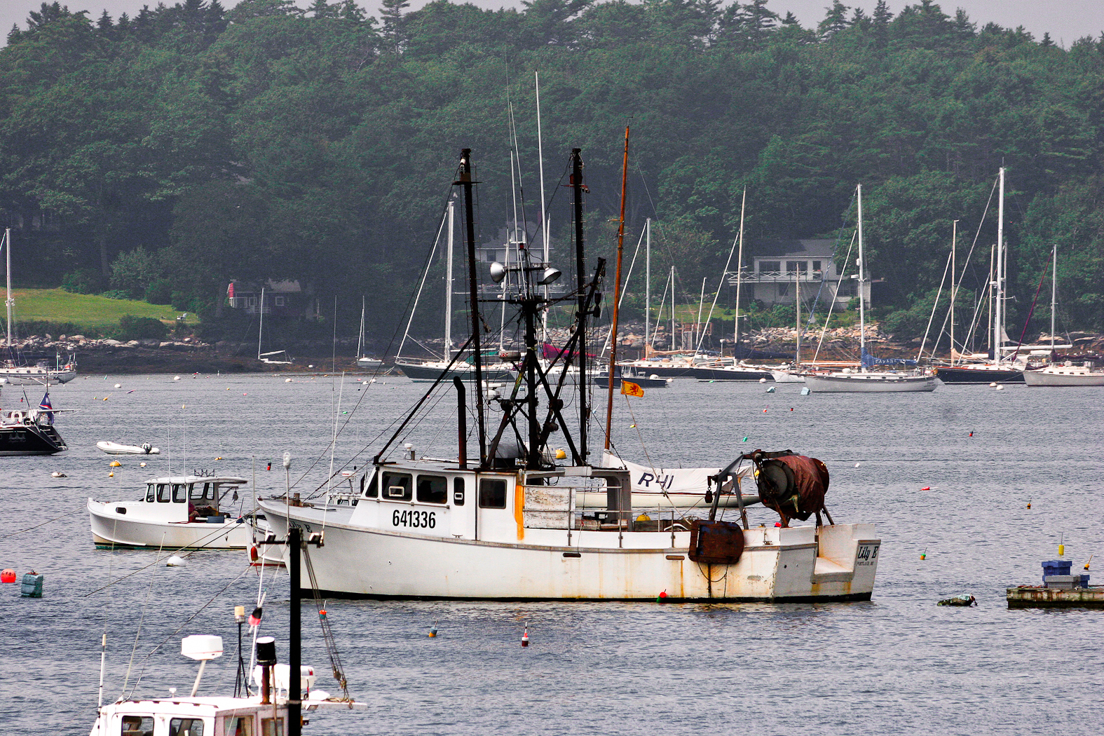 slideshow image